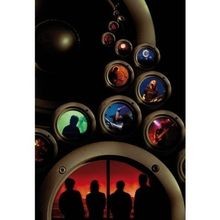 Porcupine tree arriving - porcupine,
