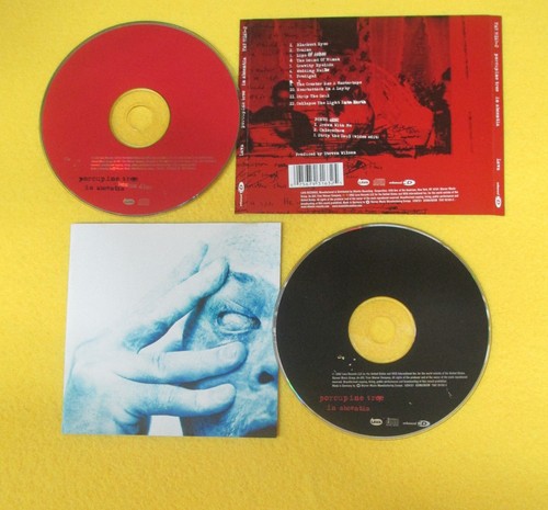 Porcupine tree in - tree,