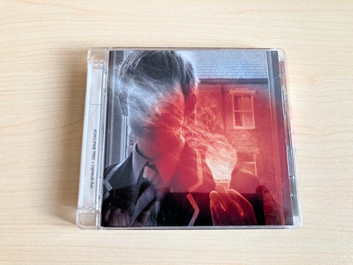 Porcupine tree lightbulb - porcupine,