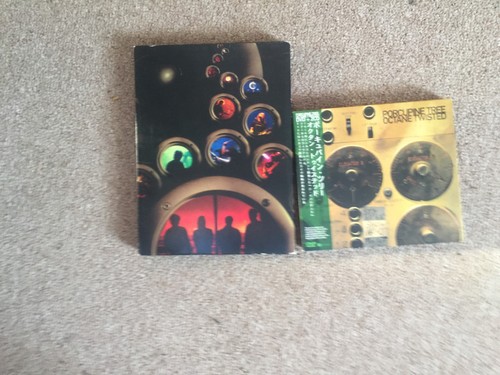 Porcupine tree arriving - porcupine,