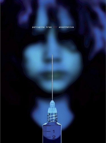 Porcupine tree anesthetize - porcupine,
