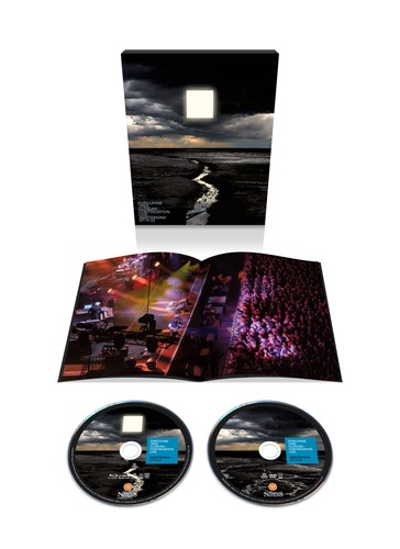 Porcupine tree - porcupine,