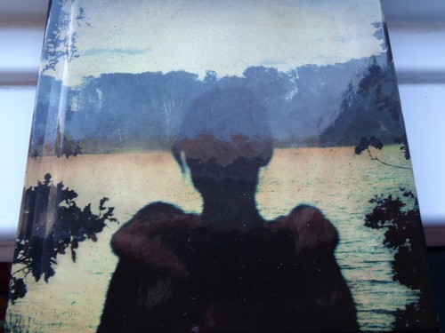 Porcupine tree deadwing - tree,